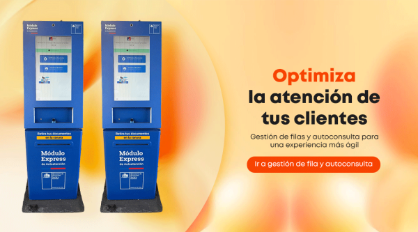 Gráficas-Tic-Online-Gestión-Fila